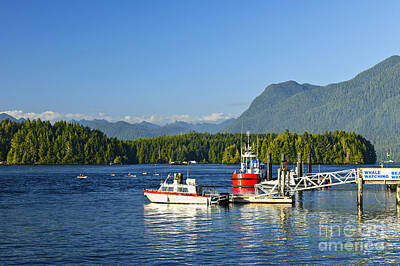 Mountain Royalty-Free and Rights-Managed Images - Boats at dock in Tofino by Elena Elisseeva