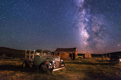 Mammals Photos - Bodie Nights by Cat Connor