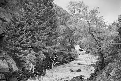 James Bo Insogna Rights Managed Images - Boulder Creek Winter Wonderland Black and White Royalty-Free Image by James BO Insogna