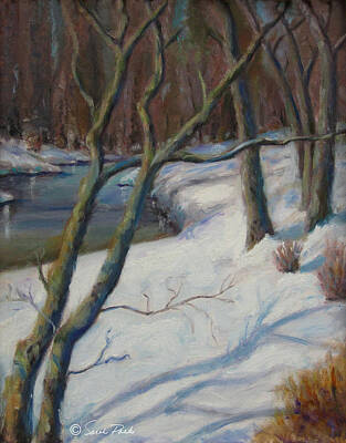 The Underwater Story - Brandywine River in Snow by Sarah Parks