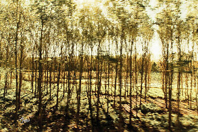 Miles Davis - Bright Forest - Bosque luminoso by Alejandro Ascanio