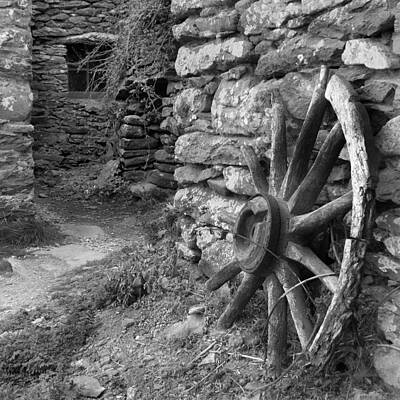 Woodland Animals - Broken Wheel - Ireland by Mike McGlothlen