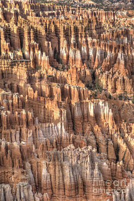Vintage State Flags - Bryce Canyon 5 by Stacy Lynne Photography