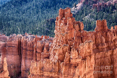 James Bo Insogna Rights Managed Images - Bryce Canyon Utah Views 524 Royalty-Free Image by James BO Insogna