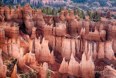 James Bo Insogna Photo Rights Managed Images - Bryce Canyon Utah Views 92 Royalty-Free Image by James BO Insogna