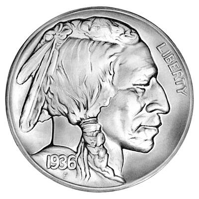 Mammals Royalty-Free and Rights-Managed Images - Buffalo Nickel by Greg Joens