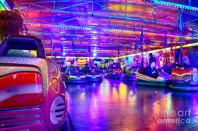 Llamas And Alpacas - Bumper Cars at the Octoberfest in Munich by Sabine Jacobs