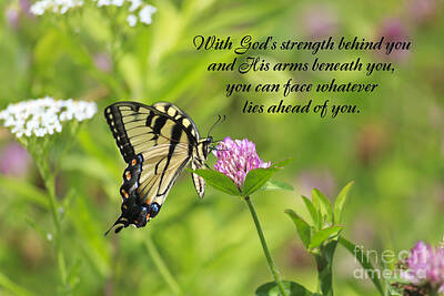 Majestic Horse Rights Managed Images - Butterfly with Religious Quote Royalty-Free Image by Jill Lang