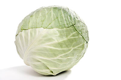 Kitchen Collection Royalty Free Images - Cabbage Royalty-Free Image by Marek Poplawski