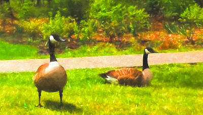 Birds Mixed Media - Cackling Geese by Larry Ferreira