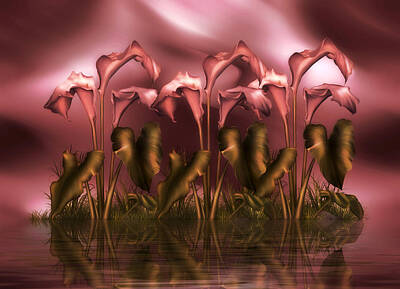 Lilies Digital Art - Calla Lily Island by Georgiana Romanovna