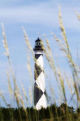 Aromatherapy Oils Royalty Free Images - Cape Lookout Light and Sea Oats 9 Royalty-Free Image by Cathy Lindsey