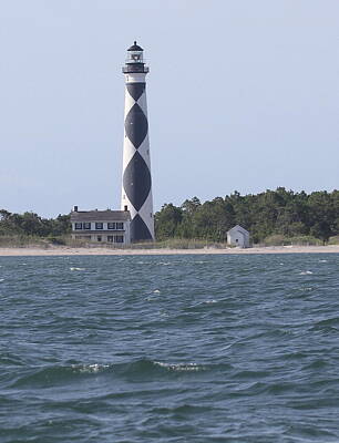 Animal Paintings James Johnson - Cape Lookout Lighthouse 9 by Cathy Lindsey