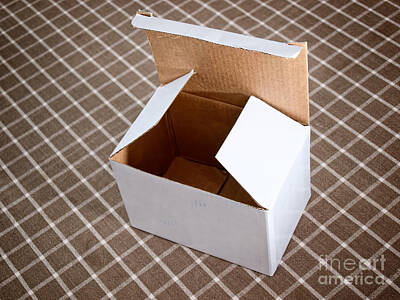 Packaging Photos - Cardboard box by Sinisa Botas