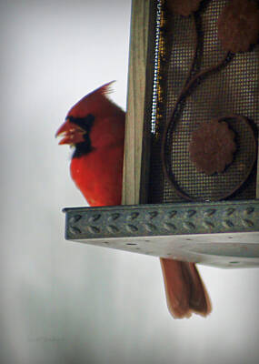The Art Of Pottery - Cardinal at the Feeder by Cricket Hackmann