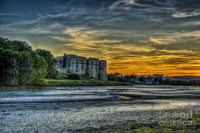 Animal Portraits Royalty Free Images - Carew Castle Sunset 3 Royalty-Free Image by Steve Purnell