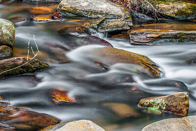 Winter Animals - Carreck Creek Cascades by Optical Playground By MP Ray