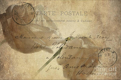 The Masters Romance - Carte Postale by Betty LaRue