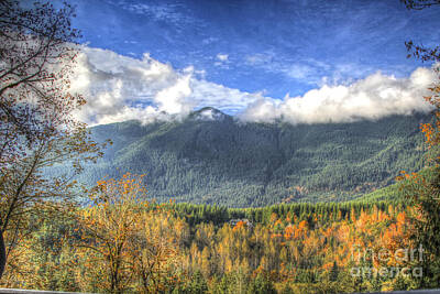Presidential Portraits - Cascade Mountain view by Darleen Stry