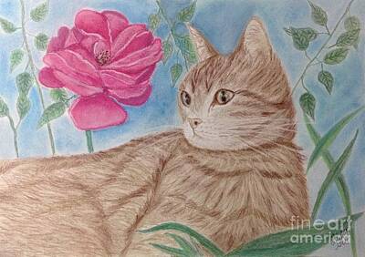 Mammals Mixed Media - Cat and Flower by Cybele Chaves