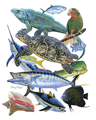 Reptiles Paintings - Cayman collage by Carey Chen