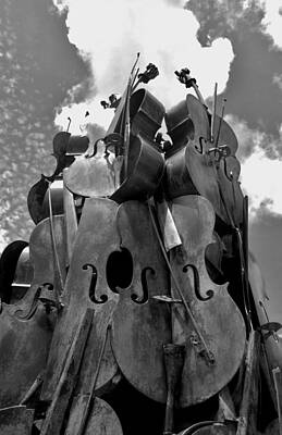 Whimsical Flowers - Cellos In The Sky Black And White1 by Rob Hans