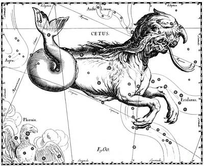 Beach Photo Rights Managed Images - Cetus Constellation, Hevelius, 1687 Royalty-Free Image by Science Source