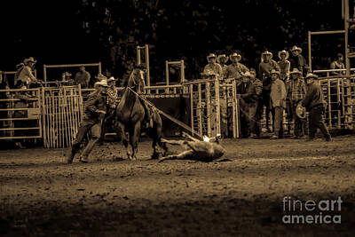 Lucille Ball Royalty Free Images - Chandler Rodeo Royalty-Free Image by Brad Sharp