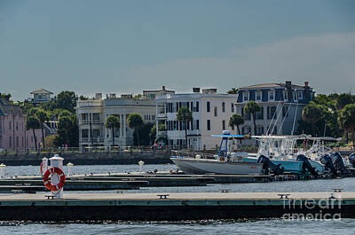 Winter Animals Royalty Free Images - Charleston Yachts Royalty-Free Image by Dale Powell