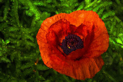 Abstract Flowers Digital Art Royalty Free Images - Cheerful Poppy Royalty-Free Image by Georgia Mizuleva
