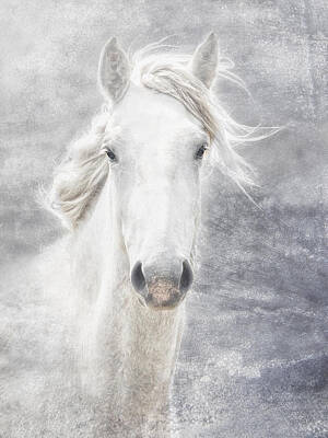 Animals Royalty Free Images - cheval de la Camargue Royalty-Free Image by Joachim G Pinkawa