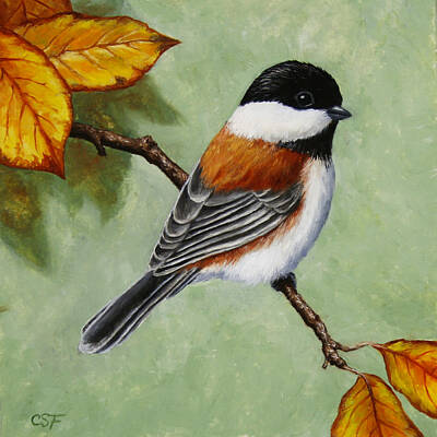 Birds Royalty-Free and Rights-Managed Images - Chickadee - Autumn Charm by Crista Forest