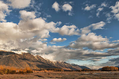Cowboy - Chilkat Mountains in Fall by Michele Cornelius