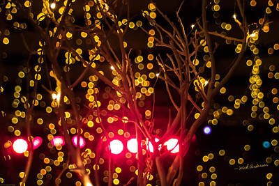 Mother And Child Animals - Christmas Lights by Mick Anderson