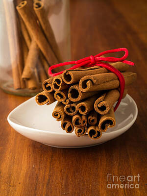 Wine Down Rights Managed Images - Cinnamon Spice Royalty-Free Image by Edward Fielding
