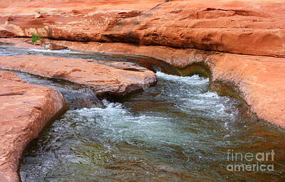 Colorful Button - Clear Water at Slide Rock by Carol Groenen