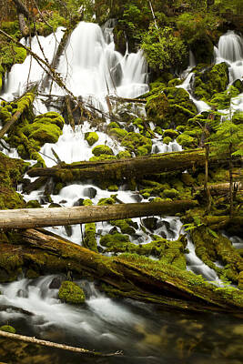 Fruit Photography Royalty Free Images - Clearwater Falls 2 Royalty-Free Image by John Brueske