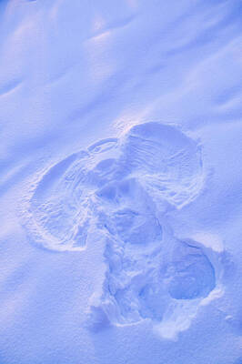 Studio Grafika Patterns - Close Up Of Snow Angel At Sunset With by Kevin Smith