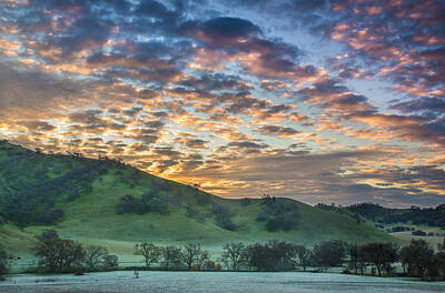Vintage Ford - Clouds At Sunrise On A Frosty Morning by Marc Crumpler