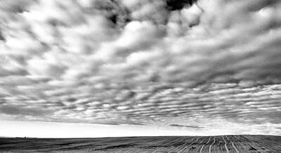 Birds Royalty-Free and Rights-Managed Images - Clouds Over A North Dakota Field by Jeff Swan