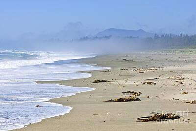 Beach Royalty Free Images - Coast of Pacific ocean in Canada 1 Royalty-Free Image by Elena Elisseeva