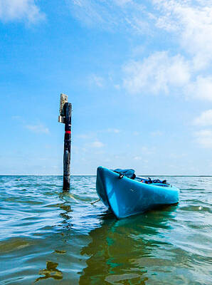 Fine Dining - Coastal Kayak by Paula OMalley
