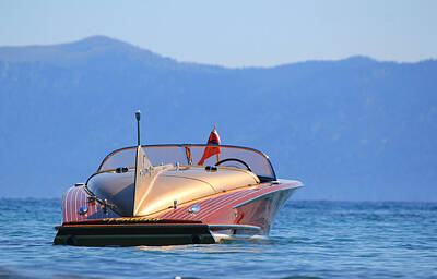 Its A Piece Of Cake Rights Managed Images - Cobra at Tahoe Royalty-Free Image by Steve Natale