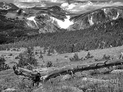 Mountain Royalty-Free and Rights-Managed Images - Colorado Mountains by Paul Quinn