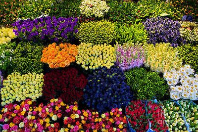 Albert Bierstadt - Colorful flowers background by Michal Bednarek