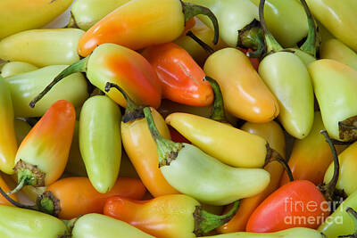 Summer Trends 18 - Colorful Peppers by James BO Insogna