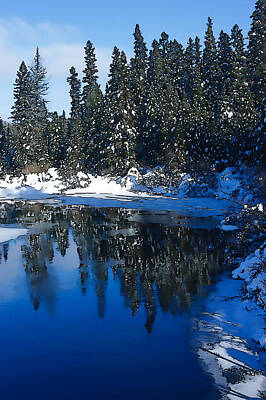 Target Threshold Nature - Cool Blue Shadows - Riverbank Winter by Georgia Mizuleva