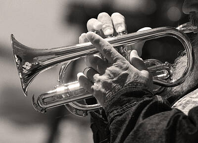 Jazz Photo Royalty Free Images - Cornet in Sepia Royalty-Free Image by James BO Insogna