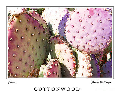 Wild And Wacky Portraits - COTTONWOOD Desert Cactus Art by Janice Pariza