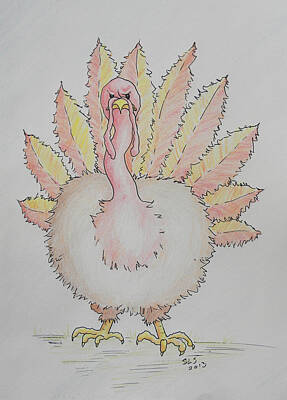 Birds Drawings - Cranky Turkey by Sheri Lauren